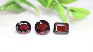 Какие камни противопоказано носить рожденным в год Собаки