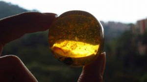 Какие камни не рекомендуется носить Рыбам, рожденным в год Козы