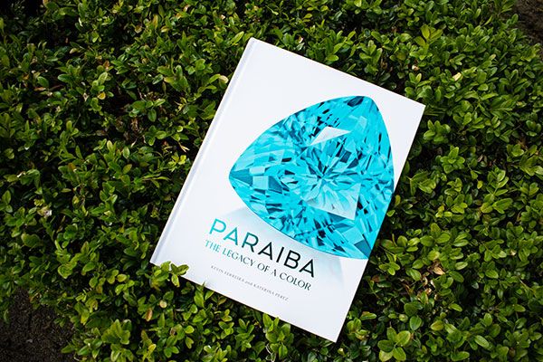 Книга «Параиба: Наследие цвета» Кевина Феррейры и Катерины Перес