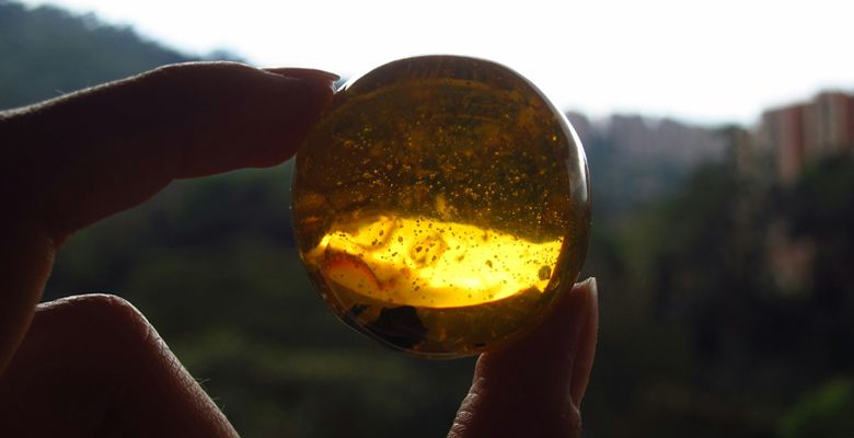 Какие камни не рекомендуется носить Весам, рожденным в год Лошади