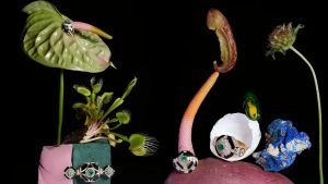 State Property превращает испанские сады Хенералифе в ювелирные изделия