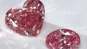 Признаки стабилизации: «Умеренное снижение» цен на фантазийные цвета