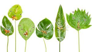 Ожерелья из бисера от итальянского бренда Forte_Forte