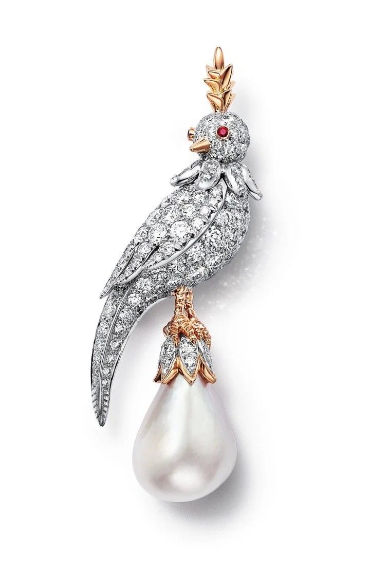 Капсульная коллекция Bird on a Pearl от Tiffany & Co., 2025