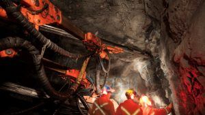 Выручка Burgundy в первом квартале снизилась на 38 %