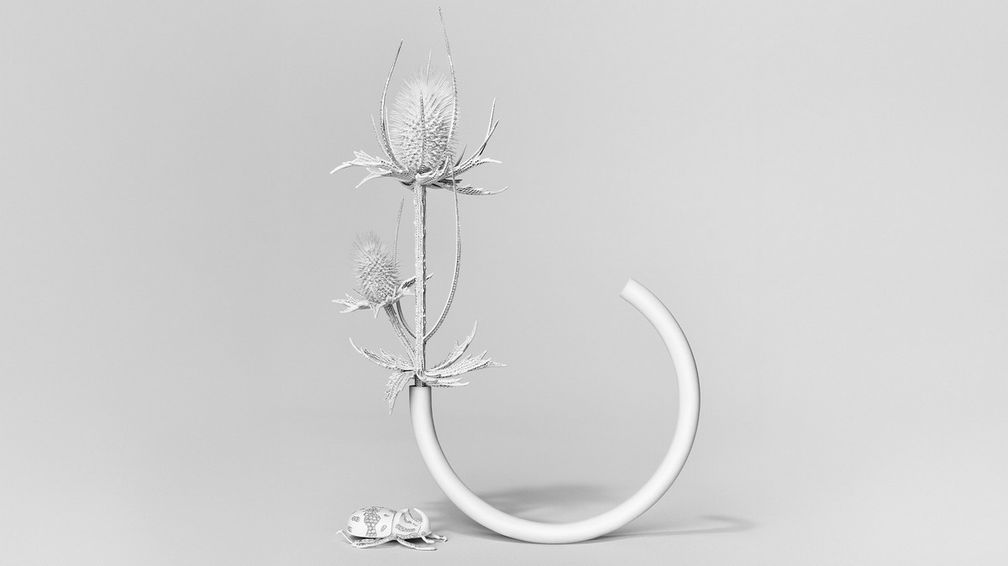 Брошь Thistle («Чертополох») с бриллиантовым паве в белой керамике и оправой из белого золота включает в себя небольшой съемный мотив в виде чертополоха, который превращается в кольцо на два пальца 