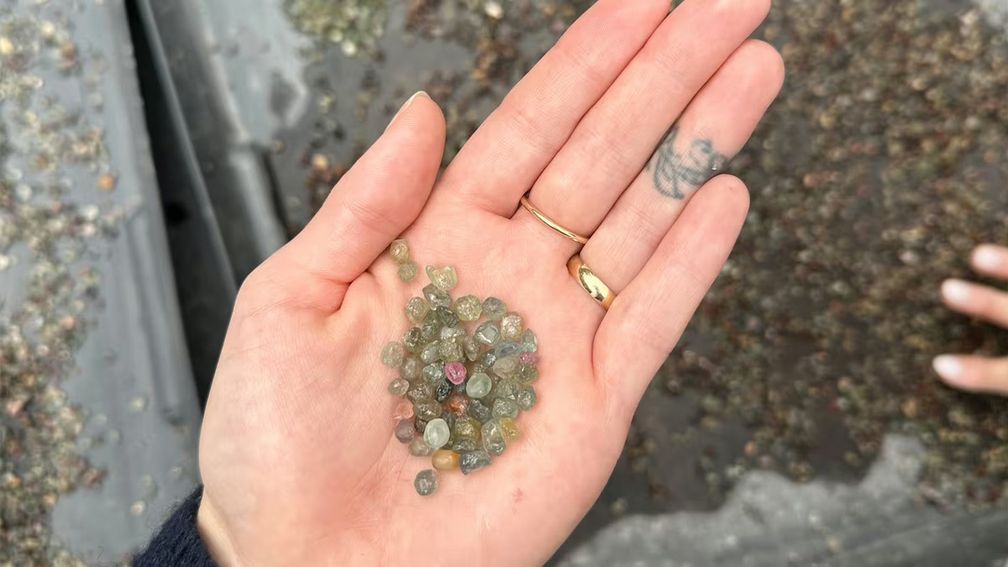 Сапфиры из района Рок-Крик на юго-западе Монтаны бывают самых разных цветов: голубого, зеленого, оранжевого, желтого, фиолетового и розового