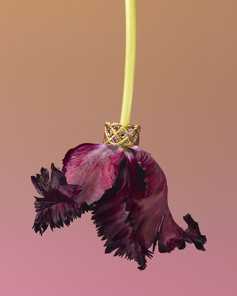 Buccellati представляет новые украшения Étoilée Color и Étoilée Mini