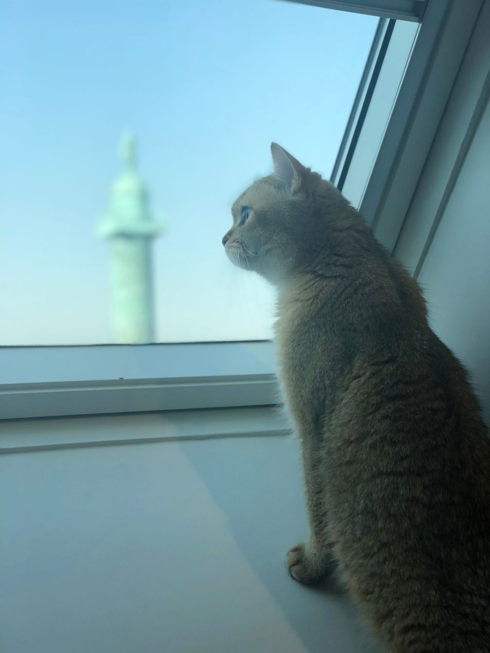 «Вид на Вандомскую площадь из творческой студии Boucheron с моим котом Игорем. Мне нравится наблюдать, как он наблюдает за жизнью этой площади и прохожими…» «Вид на Вандомскую площадь из творческой студии Boucheron с моим котом Игорем. Мне нравится наблюдать, как он наблюдает за жизнью этой площади и прохожими…»