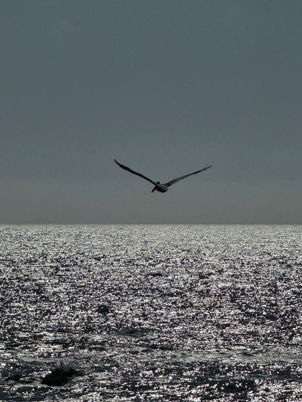 «Когда я погружаюсь в тишину природы, я обретаю глубинную часть себя — спокойную, вдохновленную и готовую творить, выходя за пределы своих возможностей» «Когда я погружаюсь в тишину природы, я обретаю глубинную часть себя — спокойную, вдохновленную и готовую творить, выходя за пределы своих возможностей»