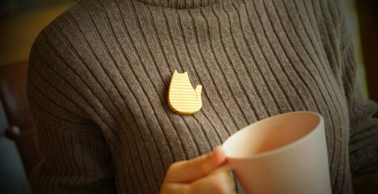 Украшения для ветеринаров: стандартные и необычные идеи