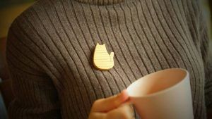 Украшения для ветеринаров: стандартные и необычные идеи