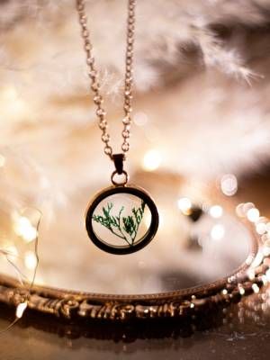 Украшения для ученых и исследователей