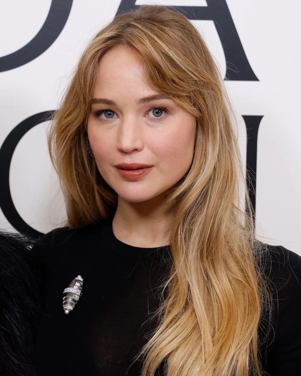 Непреходящее очарование бриллиантовых брошей, ч. 1