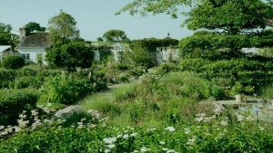 Сады, вдохновившие Банни Меллон и Жана Шлюмберже. Часть 2