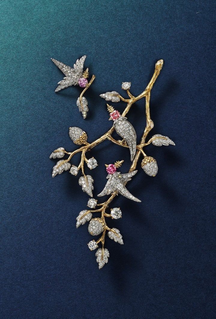 The Legendary Bird: The Argyle Edition