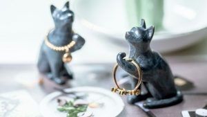 Украшения для любителей кошек стандартные и необычные идеи