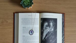 Украшения для библиотекарей: стандартные и необычные идеи