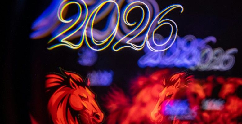 Какие украшения подарить жене на Новый 2026 год Огненной Лошади?