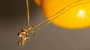 Лимонное золото: что это такое и какой пробы бывает? Лимонное золото: что это такое и какой пробы бывает?