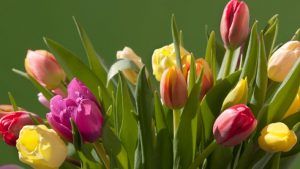 Украшения по гороскопу цветов: что выбрать Тюльпану