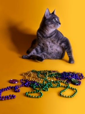 Украшения для любителей кошек