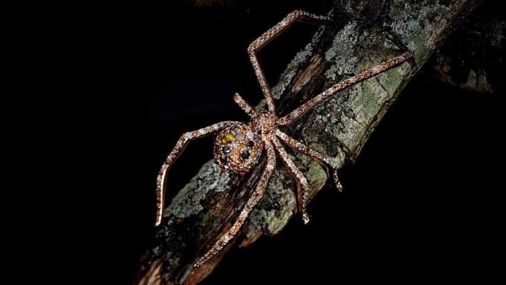 Кольцо Arachnophilia из 18-каратного золота с бриллиантами 