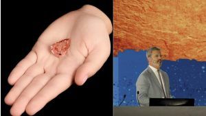 Оранжево-розовый бриллиант весом 31,86 карата продан за $ 8,8 млн Оранжево-розовый бриллиант весом 31,86 карата продан за $ 8,8 млн