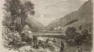 Редкий шотландский жемчуг представлен в новых украшениях, ч. 1 Редкий шотландский жемчуг представлен в новых украшениях, ч. 1