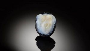 Уникальная камея с изображением Медузы Горгоны обнаружена на стройплощадке в Австрии