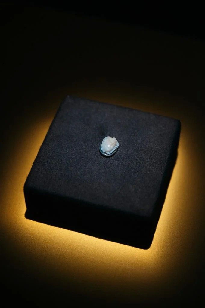 Медуза Горгона из Гальштата