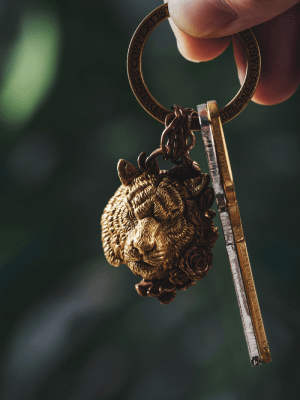  Какие украшения подарить любимому брату на 23 Февраля 