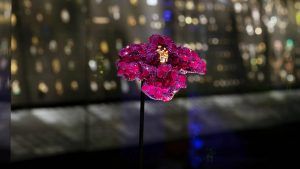 Единственные в своем роде творения Синди Чао, ч. 1 Единственные в своем роде творения Синди Чао, ч. 1