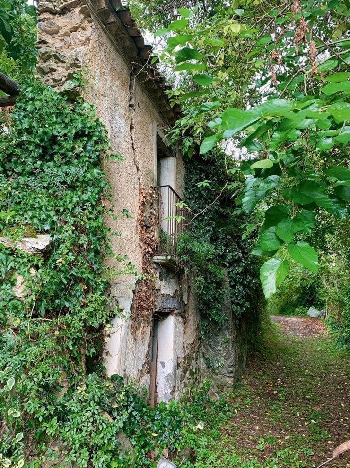 Евгения Бруни: во имя розы. Часть 2