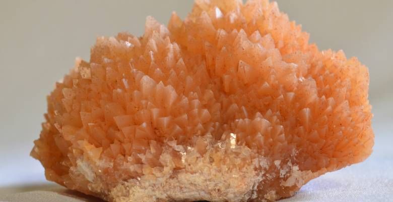 Какие камни могут выдавать за коралл