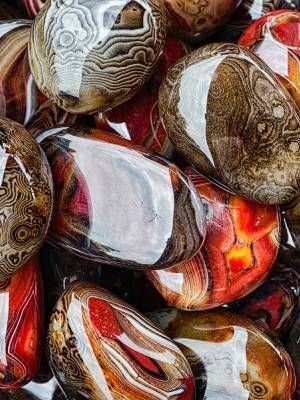 Какими камни могут выдавать за коралл