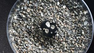 Генеральный директор Anglo American поделился информацией о продаже De Beers