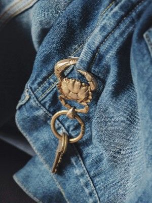 Какую брошь выбрать для джинсовой куртки