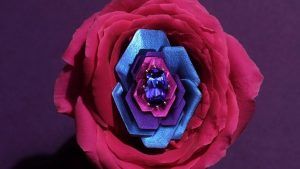 Новая коллекция ювелирных украшений от Адама Нили, которая родилась во сне