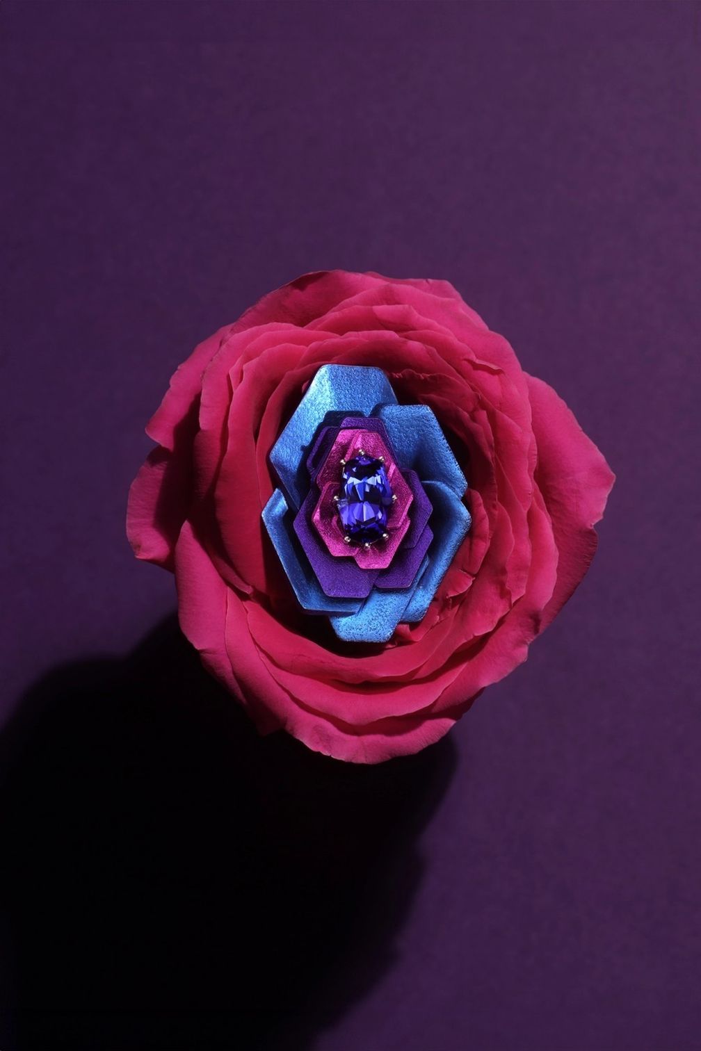 Кольцо Violeta Nocturna (можно перевести с испанского как «Ночная фиалка») от Adam Neeley из титана и белого золота с танзанитом