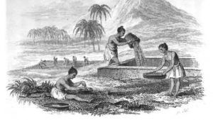 История происхождения природных алмазов в древней Индии, ч. 2