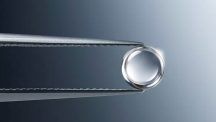 Компания De Beers адаптировала редкую огранку кабошон для бриллиантов