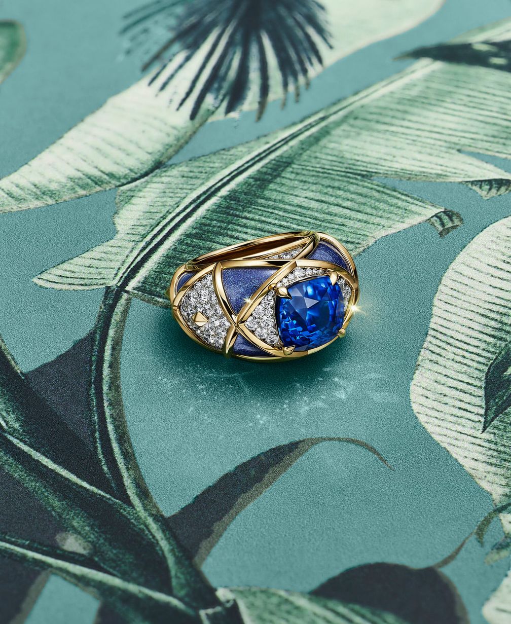 Осенняя коллекция Blue Book 2026: Hidden Garden от Tiffany & Co. Осенняя коллекция Blue Book 2026: Hidden Garden от Tiffany & Co.